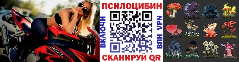 Псилоцибиновые грибы Psilocybe  Балабаново 